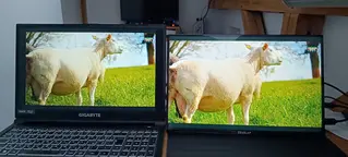 Photo ajoutée à l’avis