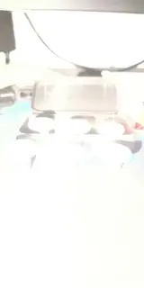 Photo ajoutée à l’avis