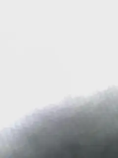 Photo ajoutée à l’avis