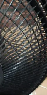 Photo ajoutée à l’avis